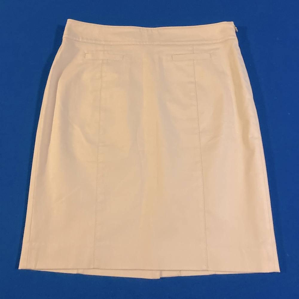 Ann Taylor skirt
